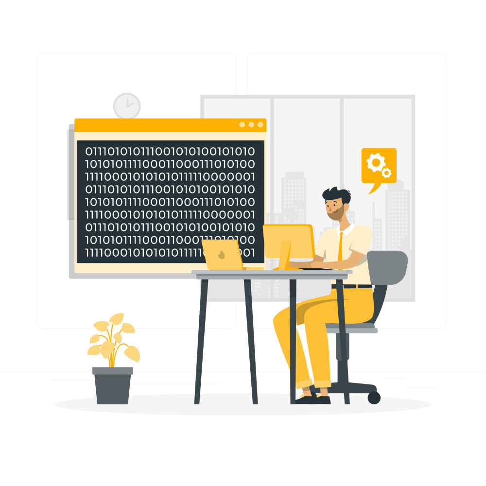 NetSuite development and system integrations